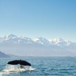 Las 5 islas del Mediterráneo que conservan un ritmo de vida más lento »